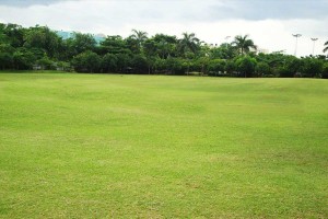 online mba courses in india- green campus